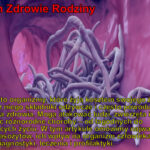 Pasożyty energetyczne niewidzialni kontrolerzy ludzkości